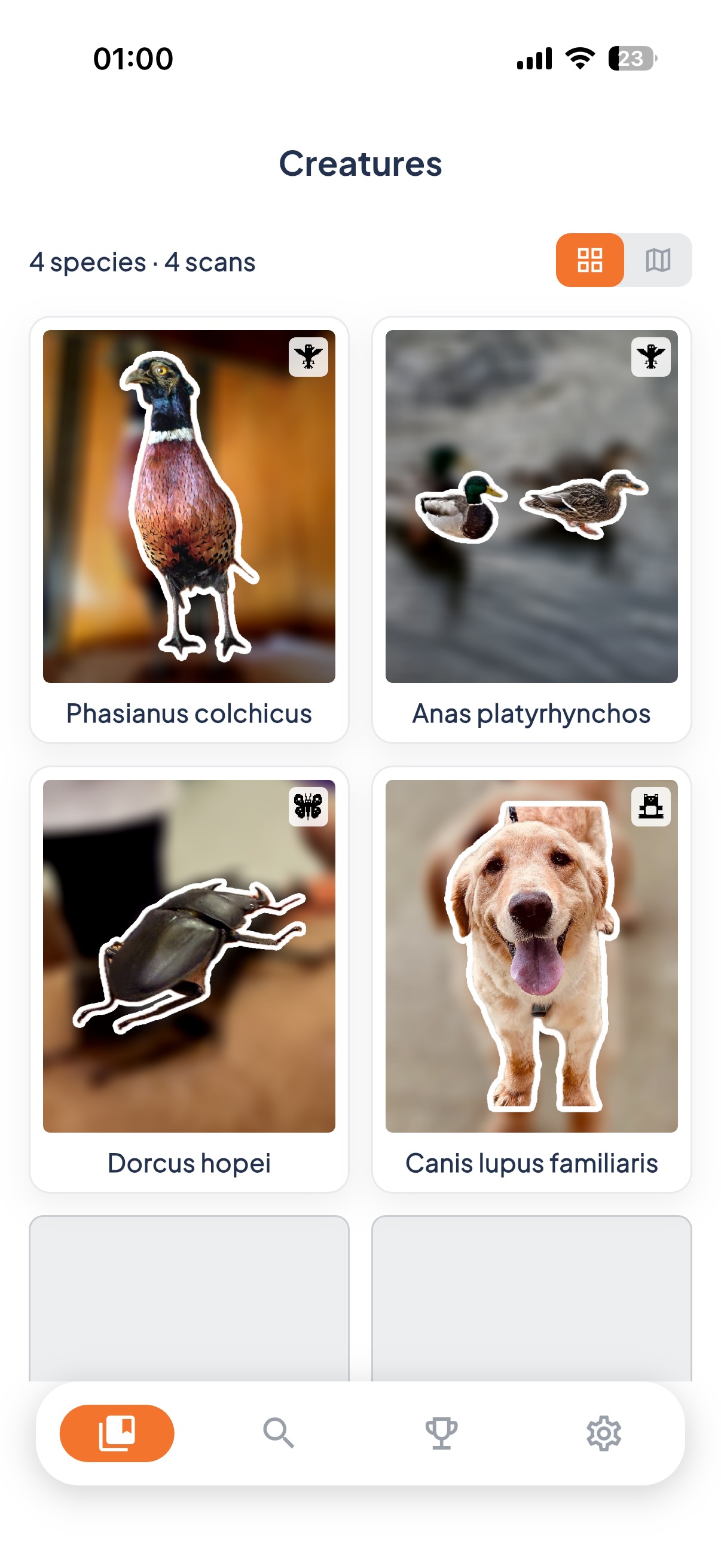 A dex grid of four collected creatures